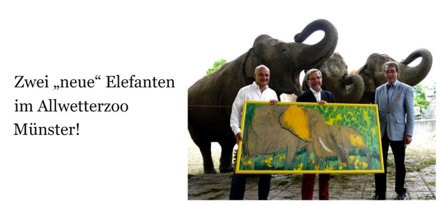 Zwei „neue“ Elefanten im Allwetterzoo Münster